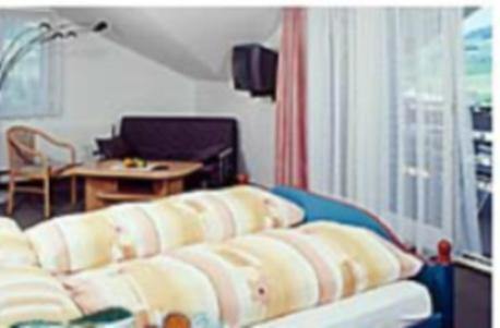 أبنزل Hotel Freudenberg المظهر الخارجي الصورة